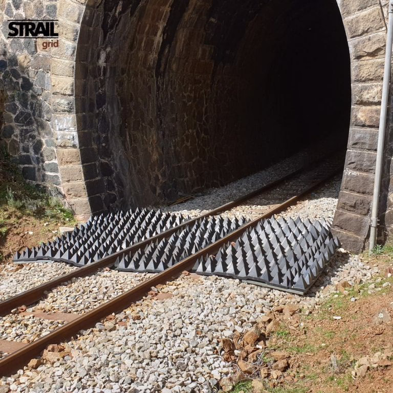 STRAIL potkáte po celém světě