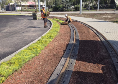 Zakládání vegetačního povrchu rozchodníkovými koberci Sedum Mix